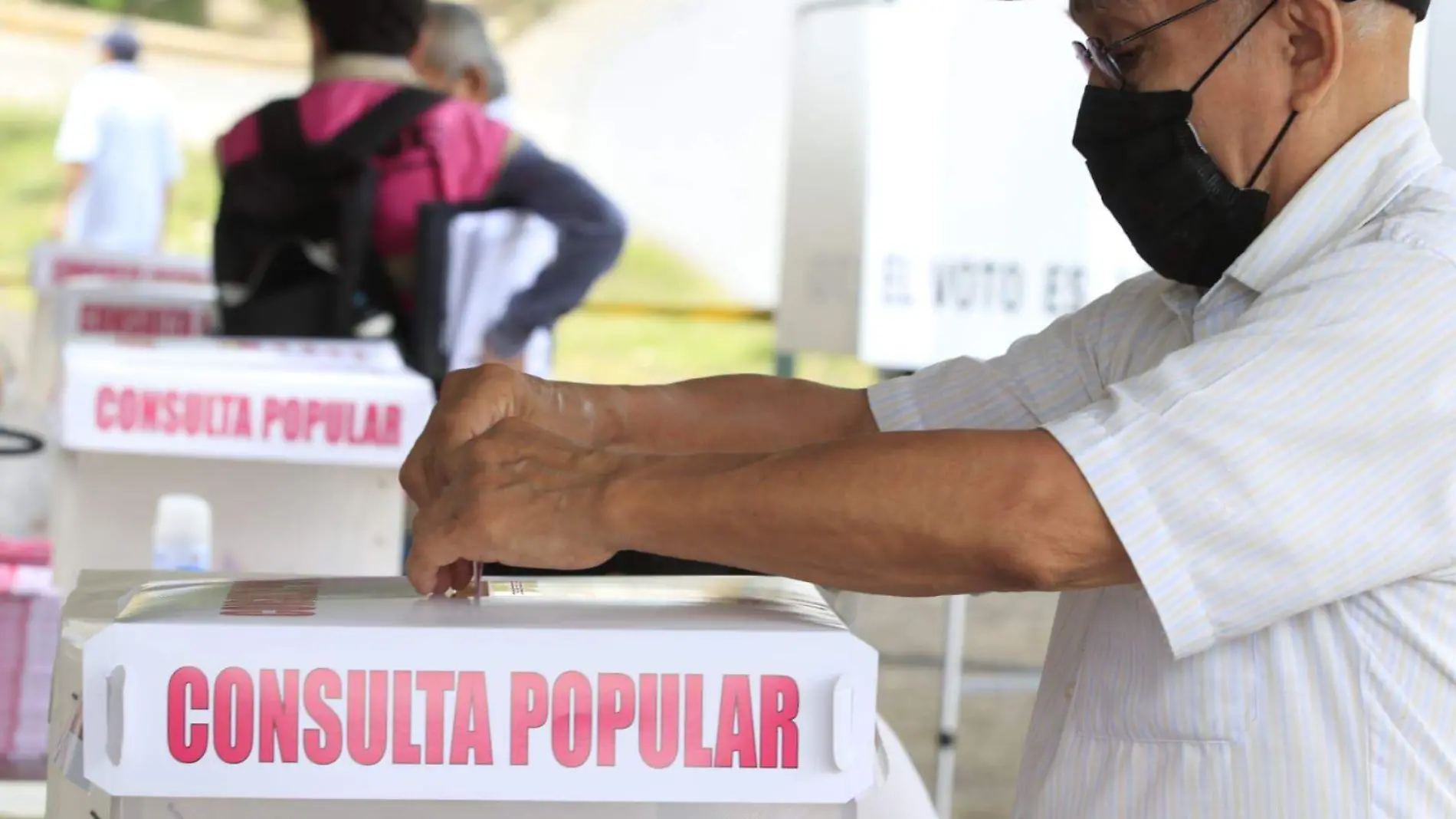 consulta popular en veracruz y xalapa